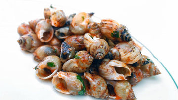 Weinbergschnecke essen für Anfänger.