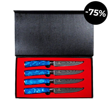 Shiburu Steak-Messerset