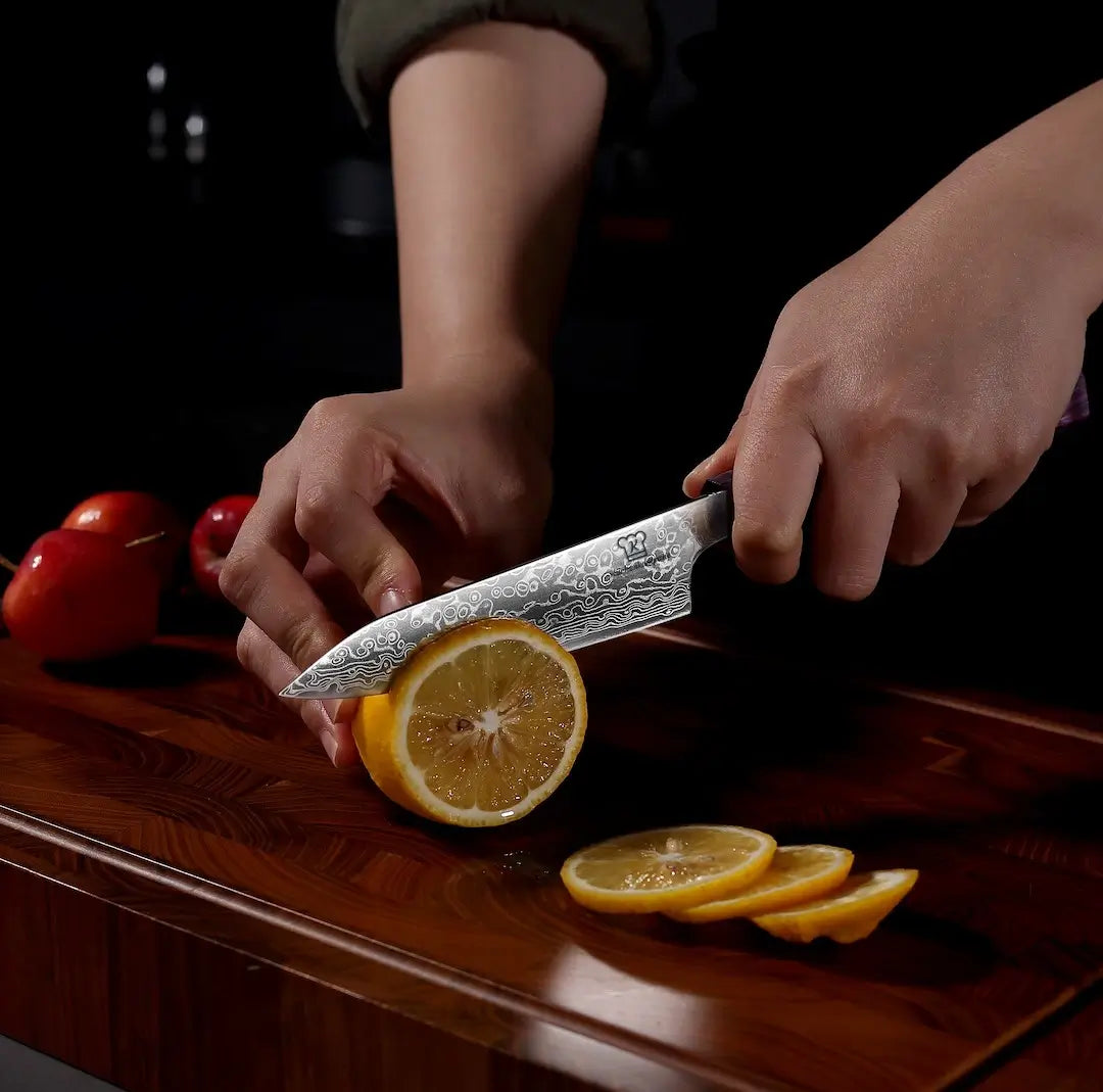 Gyuto Damastmesser Set | Limited Edition