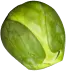 Vegetable